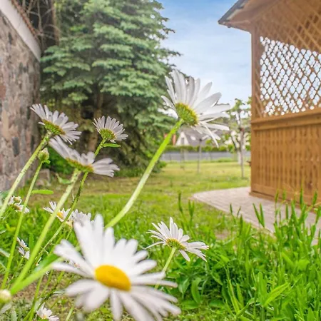 Cozy In With Wifi Apartament *